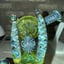 Small image 4