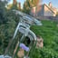 Small image 7
