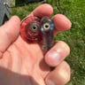 Small image 5