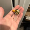 Small image 0
