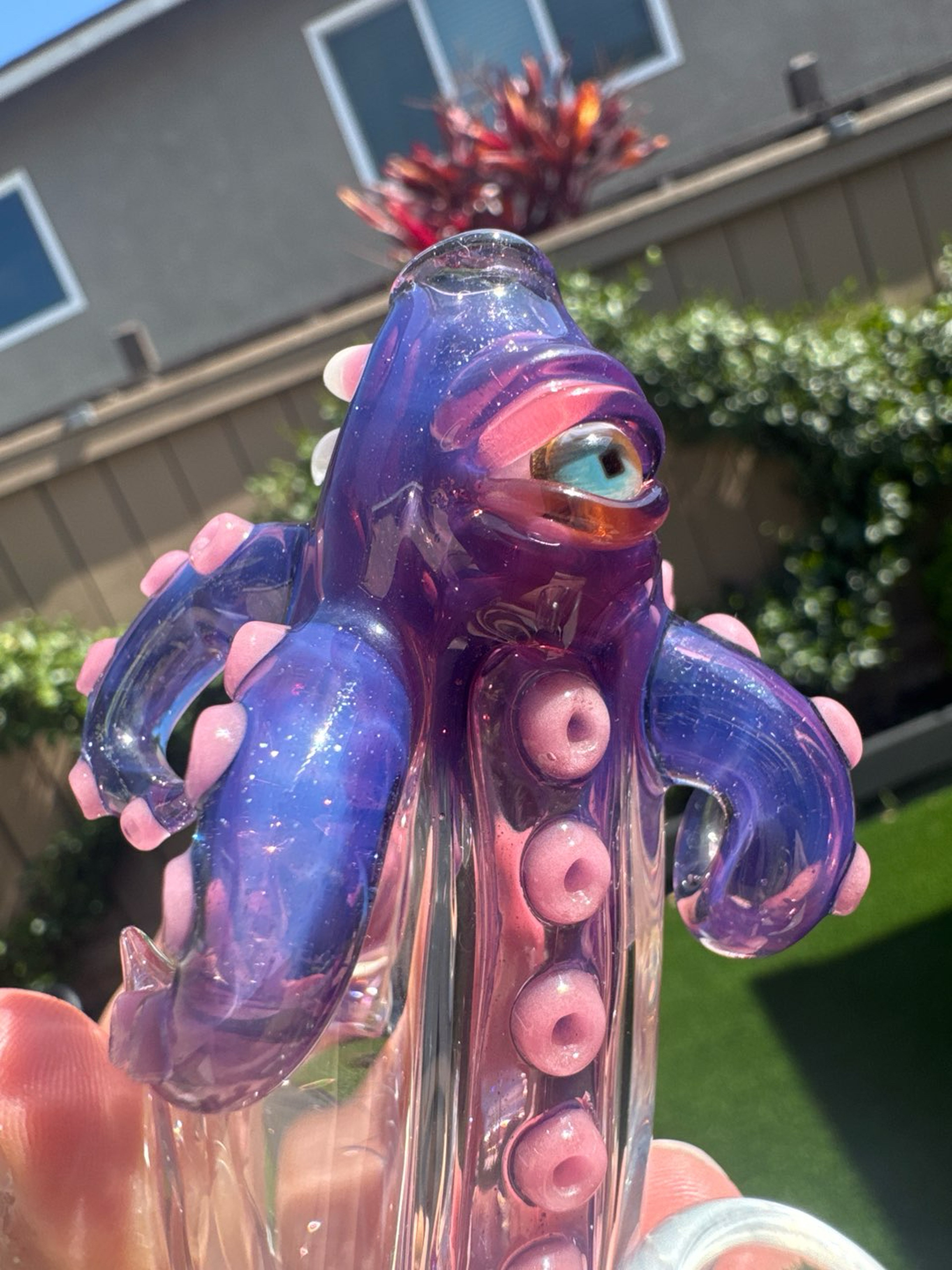 Preview pic of Salt Cephaleyepod #17 Rig