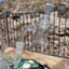 Small image 8
