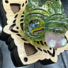 Small image 4