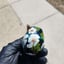 Small image 5