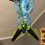 Small image 6