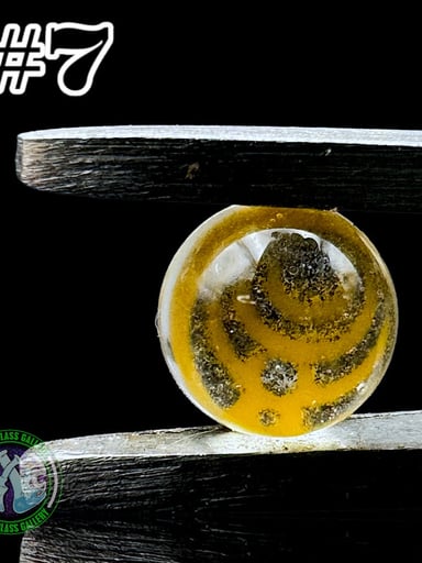 Preview pic of Steve H Glass - Terp Pearl #7 - Milli 6mm