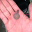 Small image 6