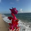 Small image 4