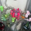 Small image 7