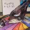 Small image 3