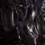 Small image 8