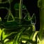 Small image 7