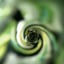 Small image 7