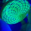 Small image 6