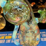 Small image 4