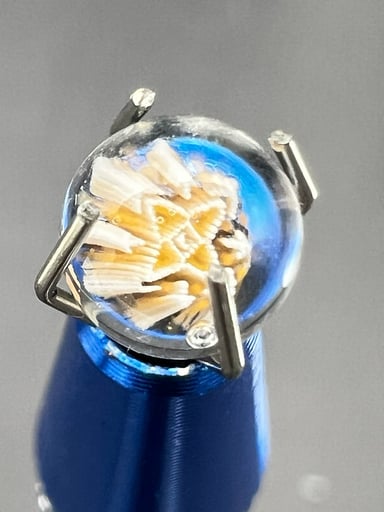 Preview pic of Steve H Millie Pearls