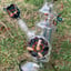 Small image 5