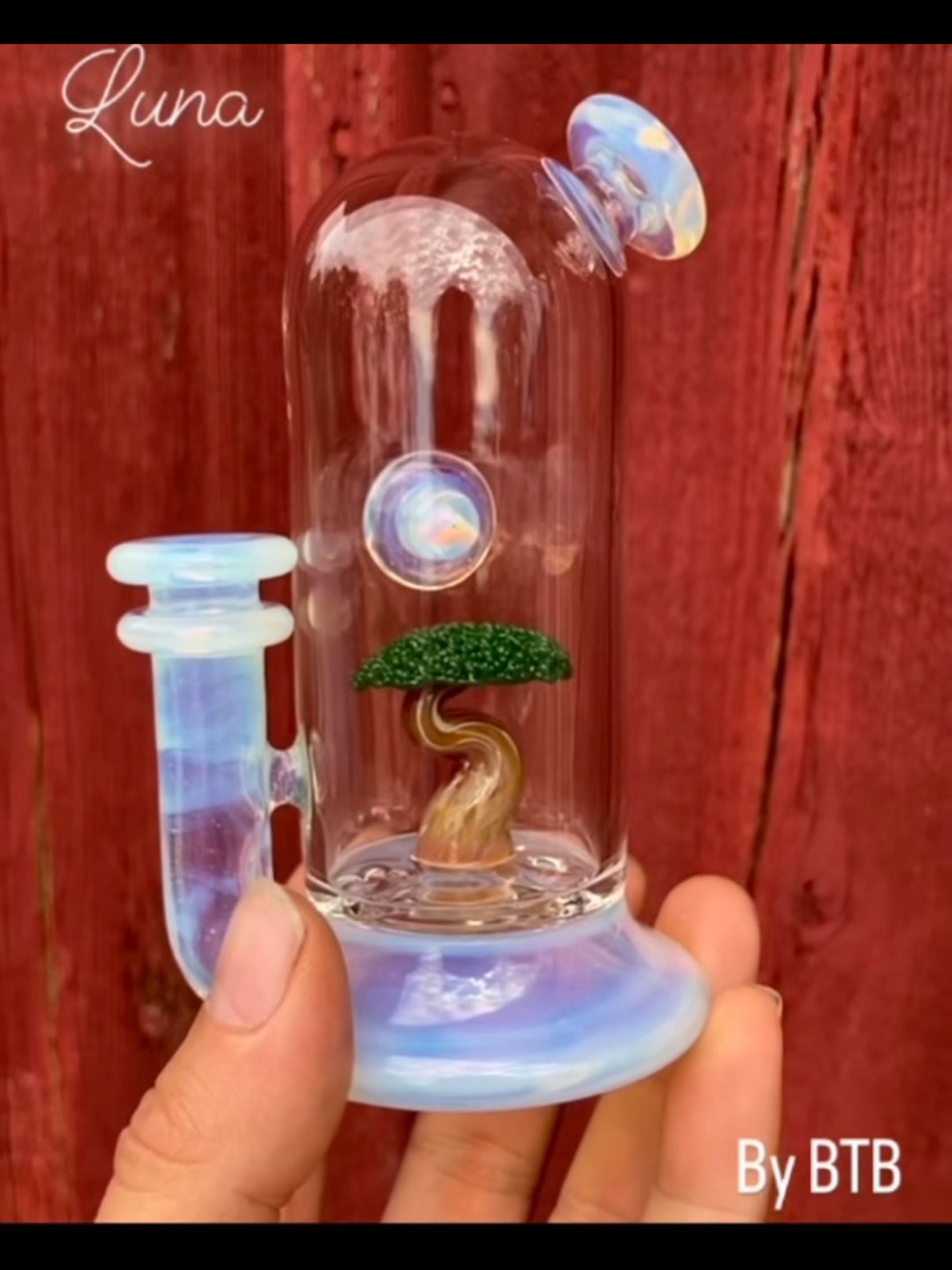 Preview pic of BTB Bonsai