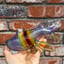 Small image 6