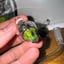 Small image 6