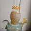 Small image 6