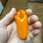 Small image 7