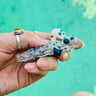 Small image 2