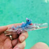 Small image 2