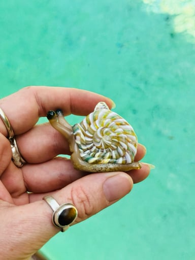 Preview pic of Snail pendant