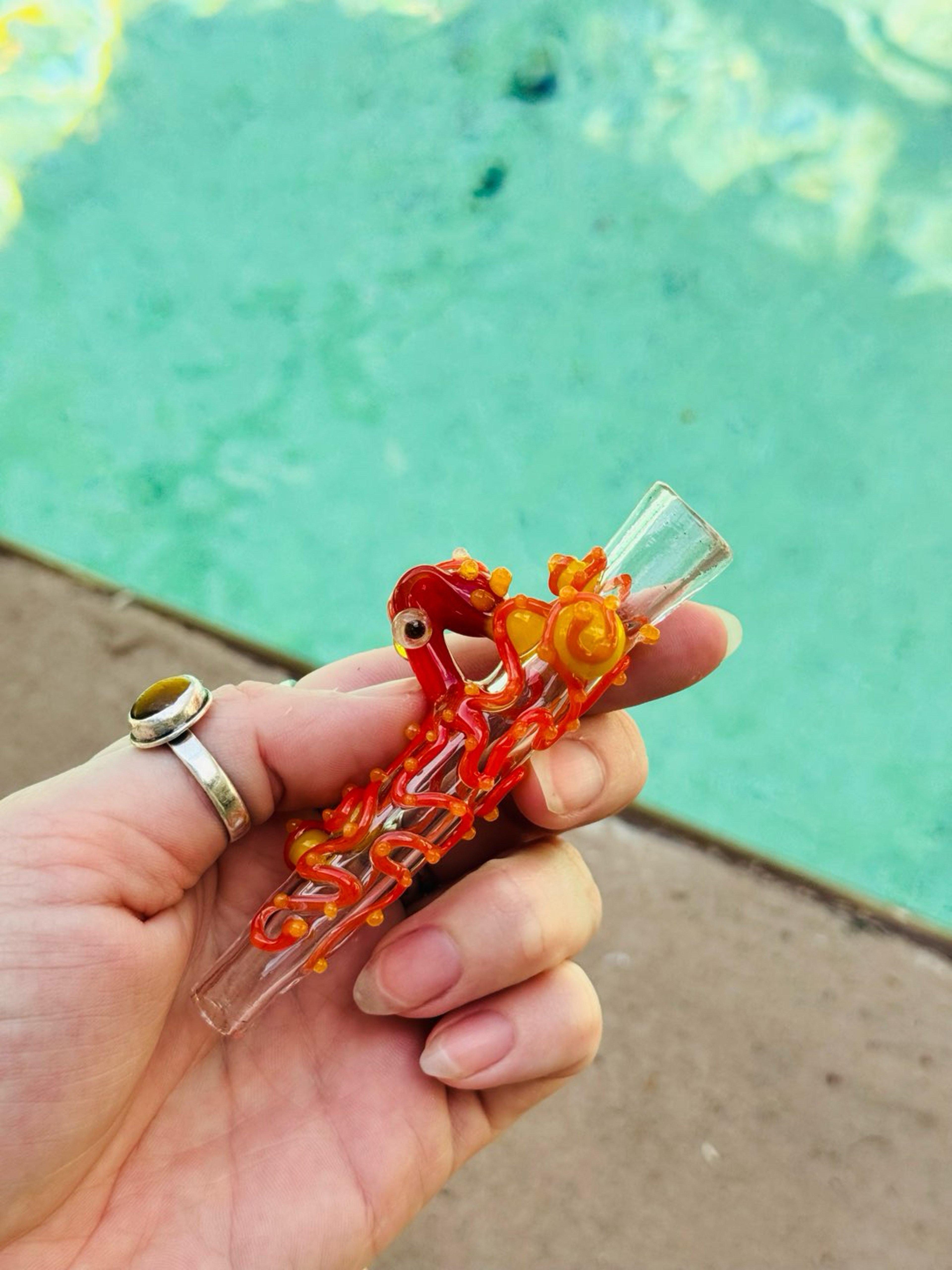 Preview pic of Octopus chillum