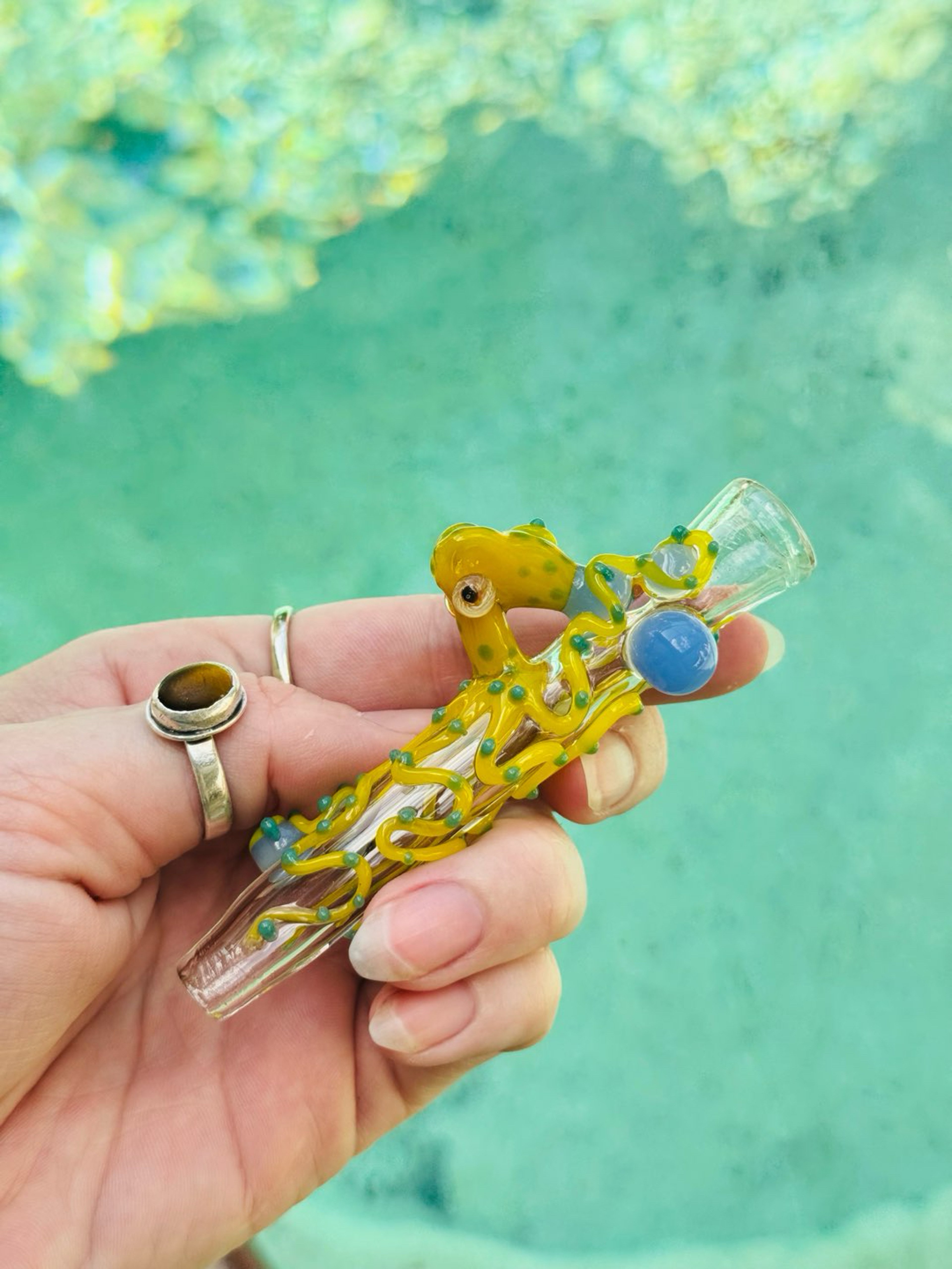 Preview pic of Octopus chillum