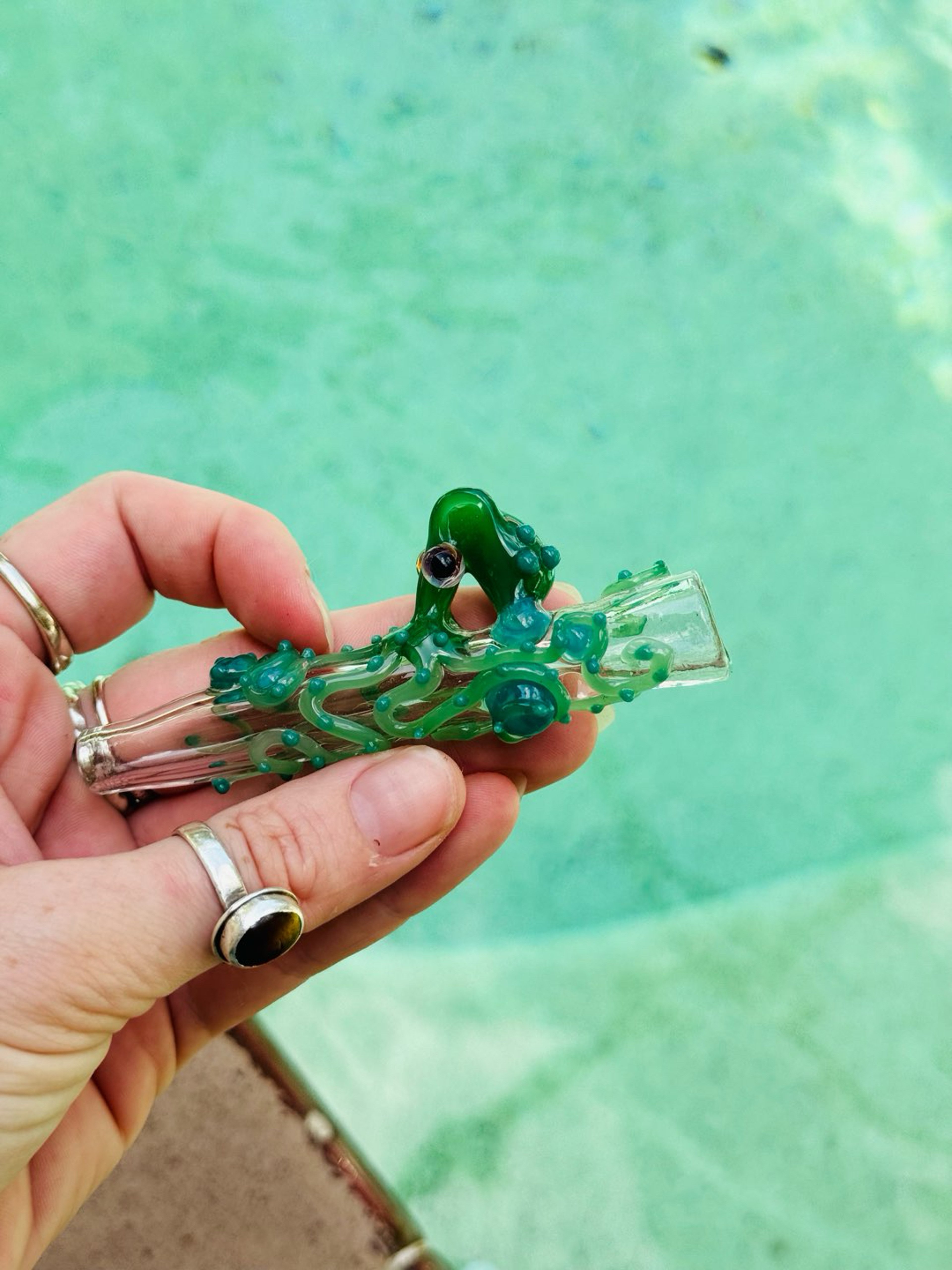 Preview pic of Octopus chillum