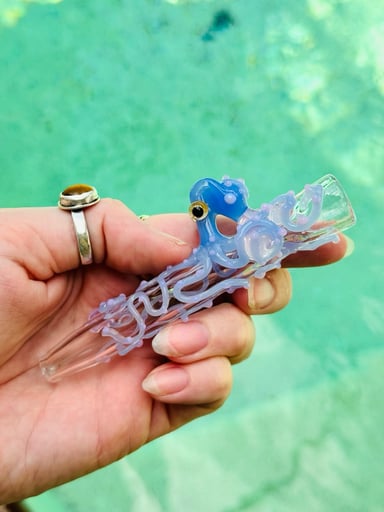 Preview pic of Octopus chillum