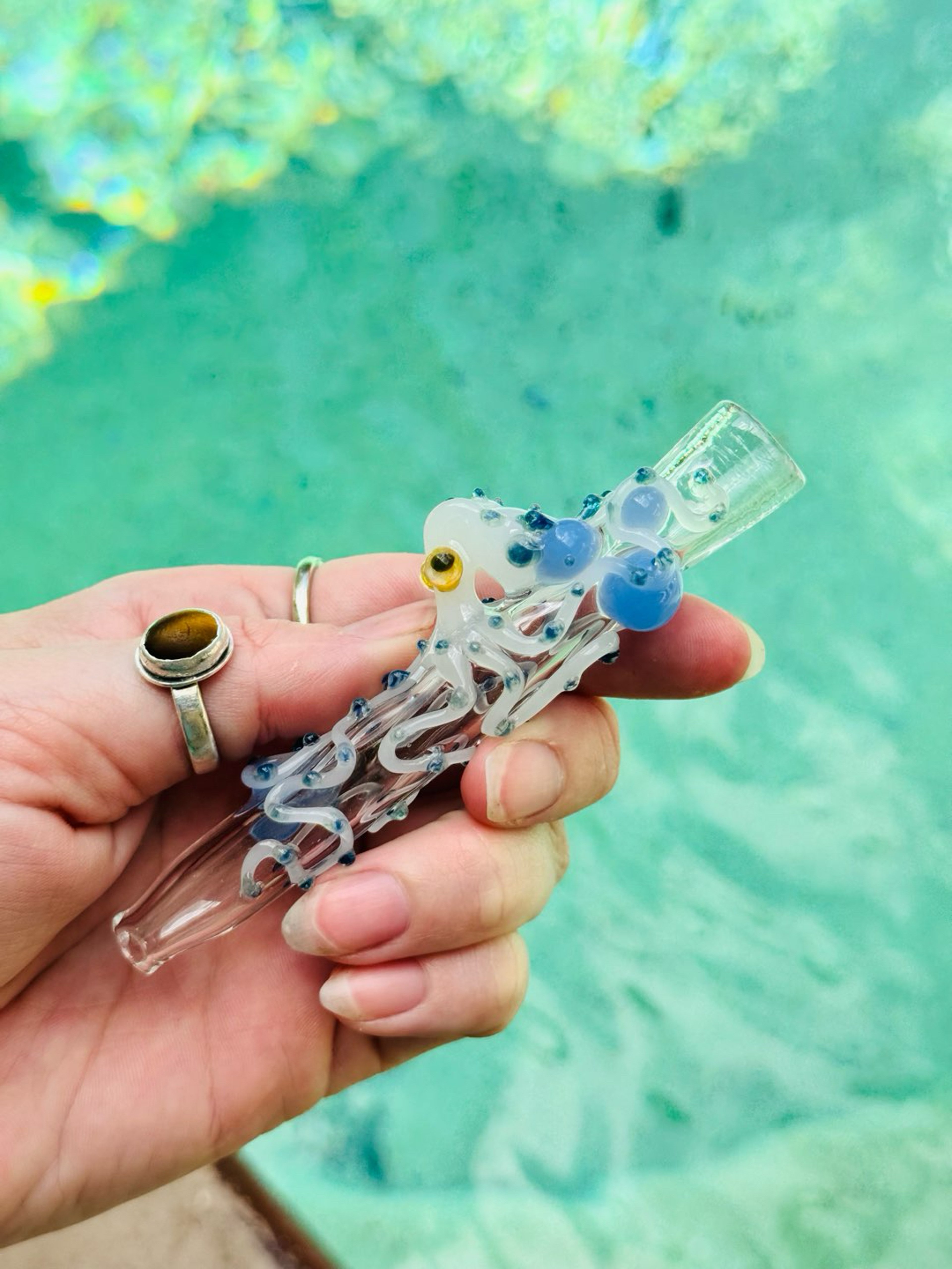 Preview pic of Octopus chillum
