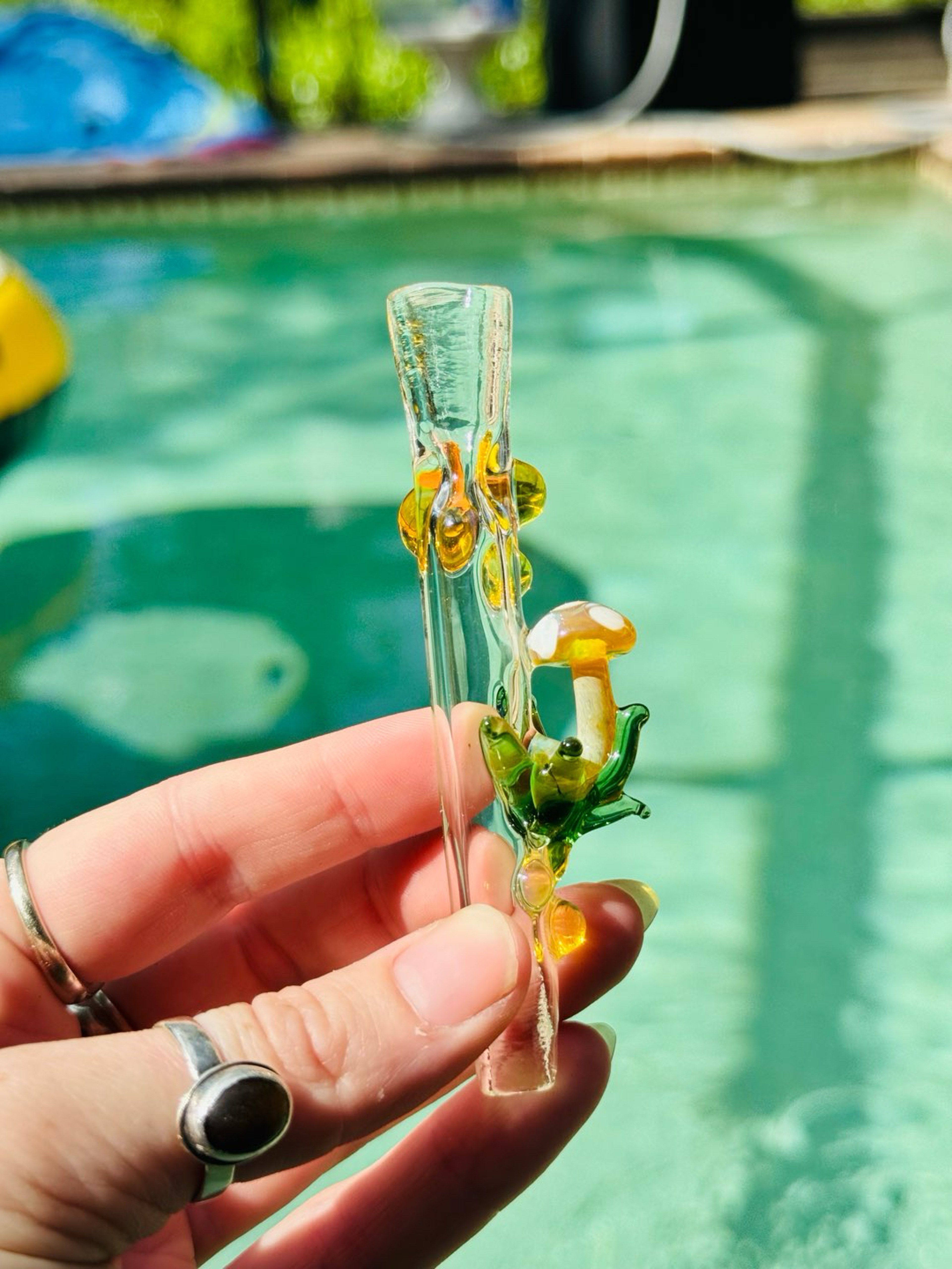 Preview pic of Mushroom chillum
