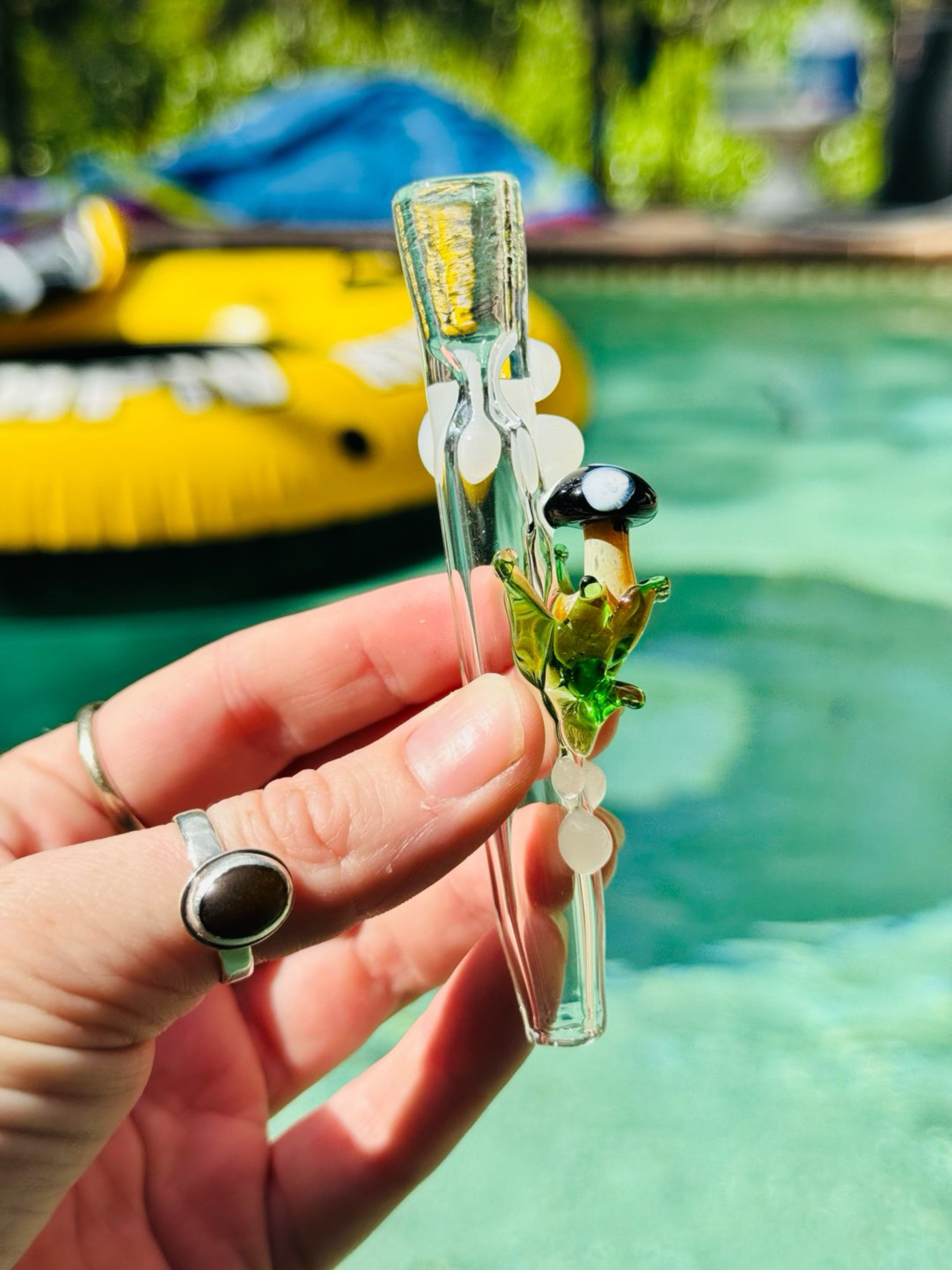 Preview pic of Mushroom chillum