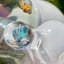 Small image 4