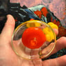 Small image 1