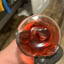 Small image 8