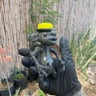 Small image 1