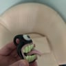 Small image 1