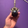 Small image 3