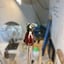 Small image 7