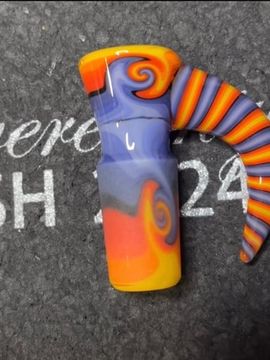 Preview pic of Shamby x klauskii