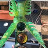 Small image 4
