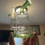 Small image 6