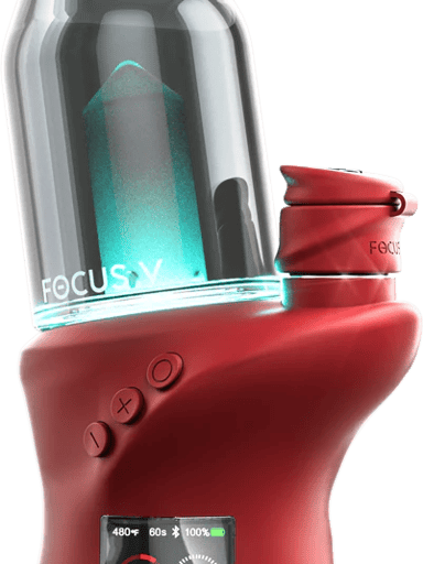 Preview pic of Focus V Carta 2 Bordeaux color brand new factory sealed