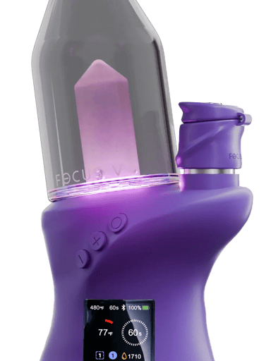 Preview pic of Focus V Carta 2 Grape color brand new factory sealed