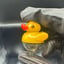 Small image 5