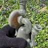 Small image 4